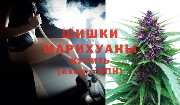 СК Волосово