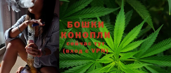СК Волосово
